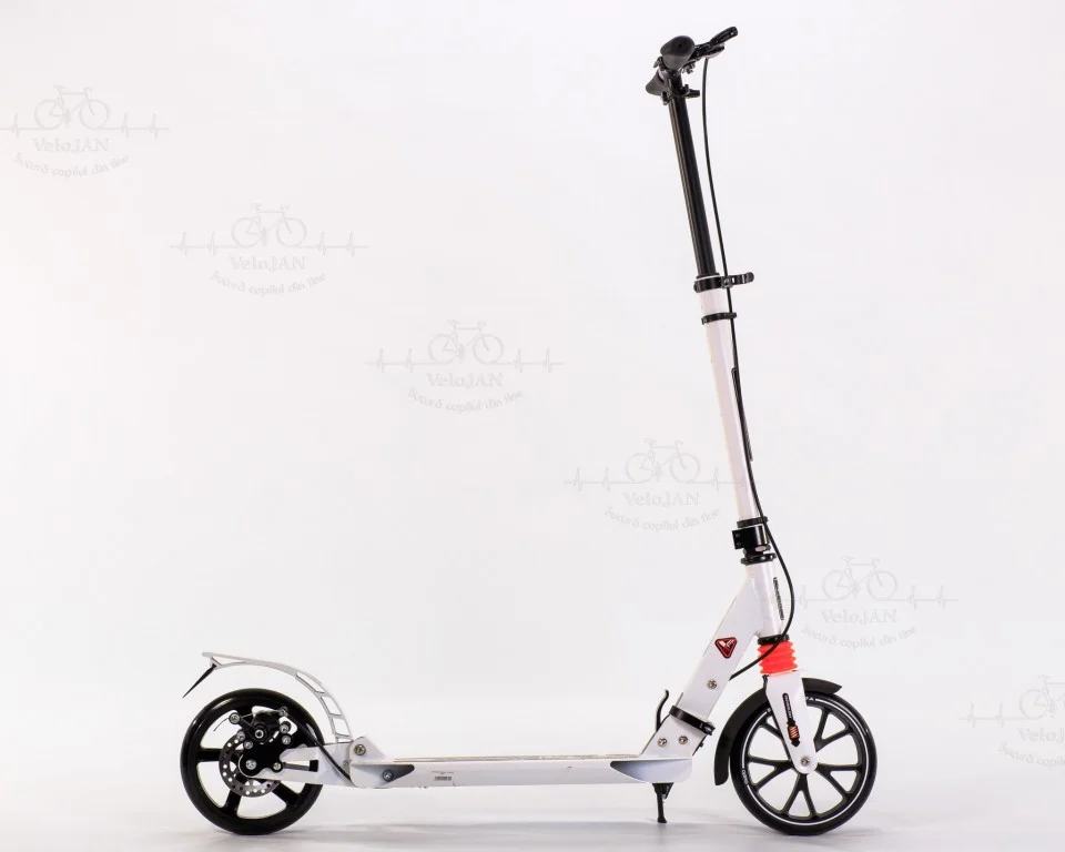 Trotineta pina la 100 kg. 1